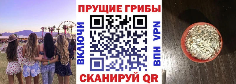 Купить  Нижние Серги  Галлюциногенные грибы мицелий 